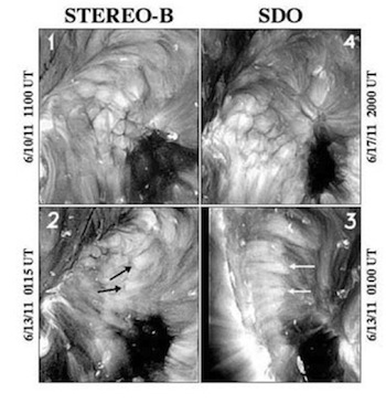 SDO-STEREO-coronal-cells.jpg