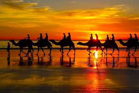 cable-beach-camel.jpg