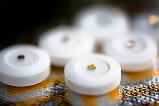 microchip.jpg