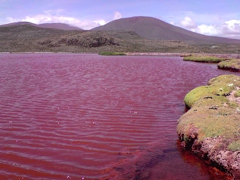 red-lagoon-chile-1.jpg