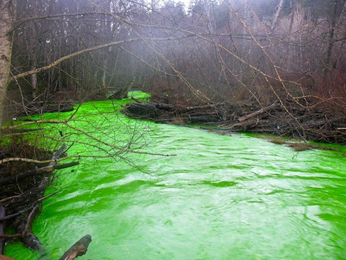 river.jpg