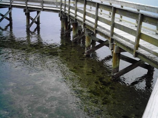 2-Dock00211-02-02.jpg