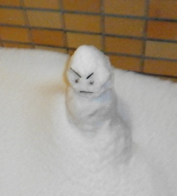 2014-snow.jpg