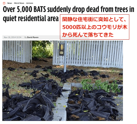 5000-bats-dead.gif