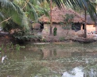 IMG_1300_2.JPG.jpeg