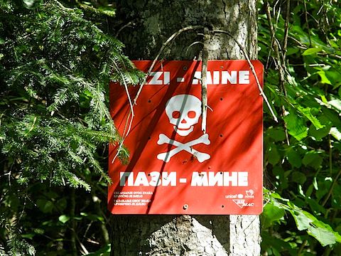 Landmine_warning_sign_in_BiH.jpg