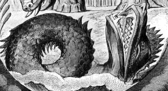 Leviathan.gif