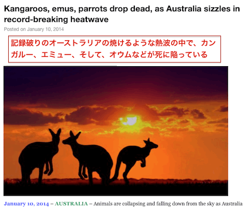 au-kangaroos-dead-01.gif
