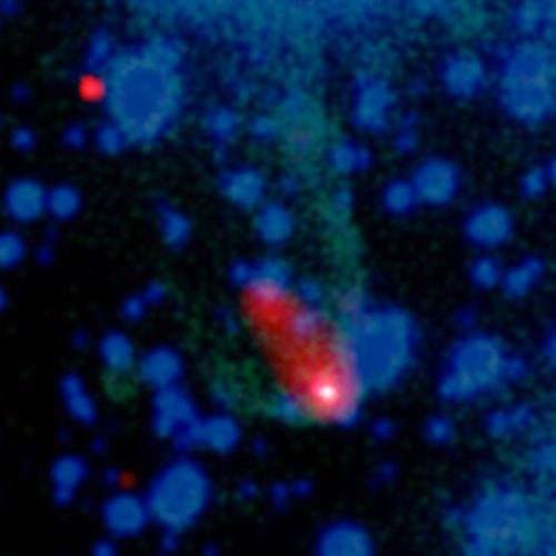 black-widoa-01.jpg