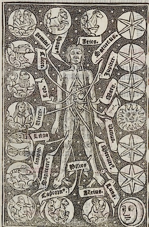 body-02.jpg