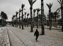 brazil-0805.jpg