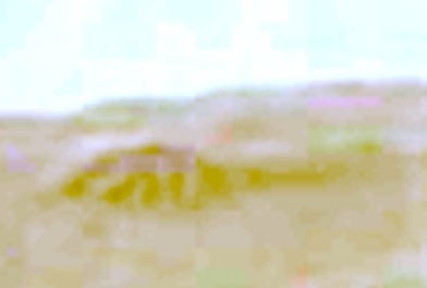 c-a-2.jpg