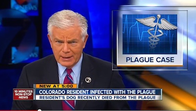 co-tv.jpg