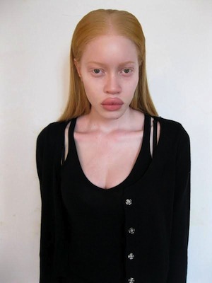 diandra1.jpg