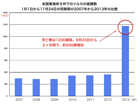 dolphin-2013-11-24.gif