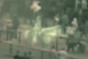 eg-color.jpg