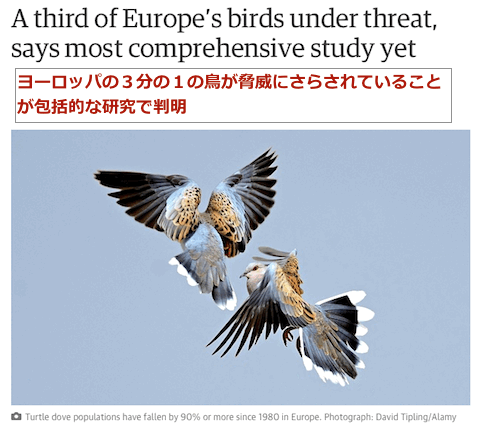 europe-birds-threat.gif