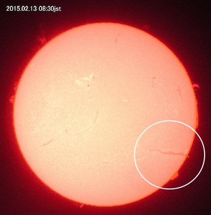 filament-0213.jpg