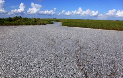 fish-kill-9-10-10-2jpg-649f3804a5b0bfa0_large.jpg