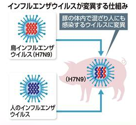 h7n9-01.png
