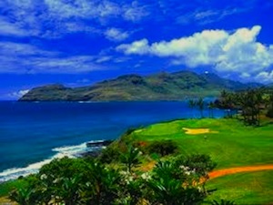 hawai-300.jpeg