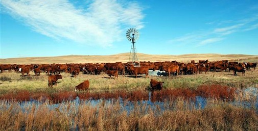 heatwave-us-2012.jpg
