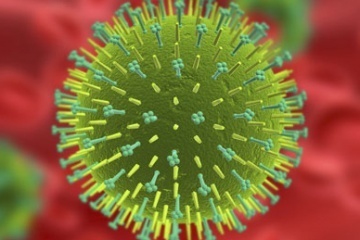 influenza-virus-3d.jpg
