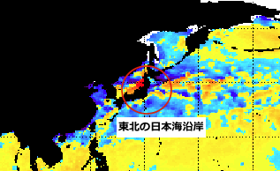 japan-sea-temperature.gif