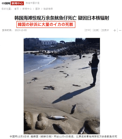 korea-di-off.gif