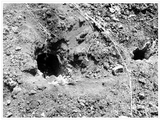 lava-2011-02-05.jpg