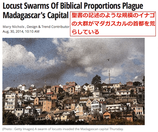 locust-madagascar.gif