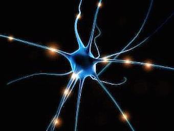 neuron-top.jpg