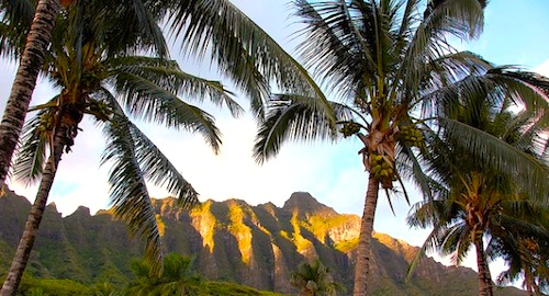 oahu-02.jpg