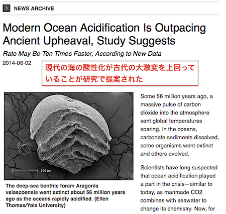 ocean-acidification.gif