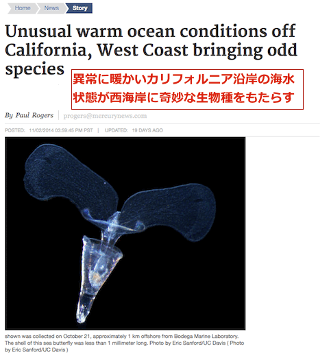odd-species.gif