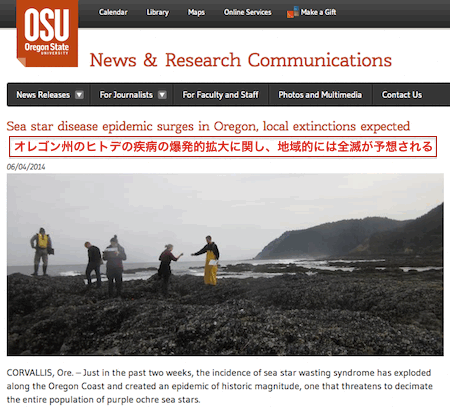 oregon-seastar-2.gif