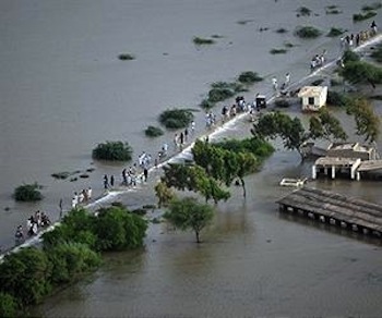 pakaistan-flood-thatta-aug10-afp-lg.jpg