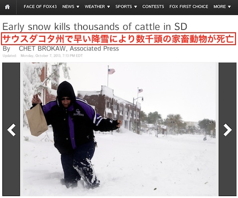 sd-cattle-death.jpg