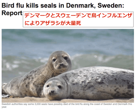 seal-die-flu.gif