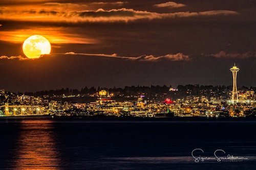 seattle-moon-0210.jpeg
