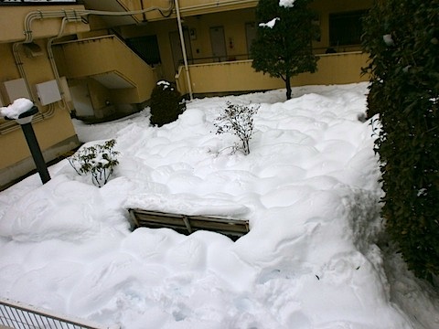 snow-02-15-1.jpg