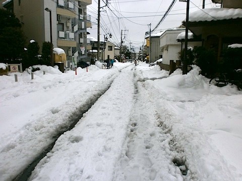 snow-02.jpg
