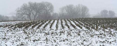 snow-drought.jpg