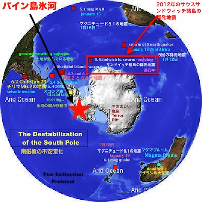 south-pole-pine-02.jpg