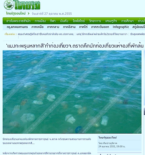 thai-kurage.jpg