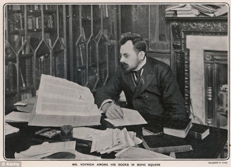 voin-02.jpg