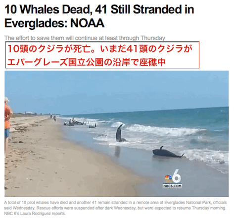 whale-10-die.gif