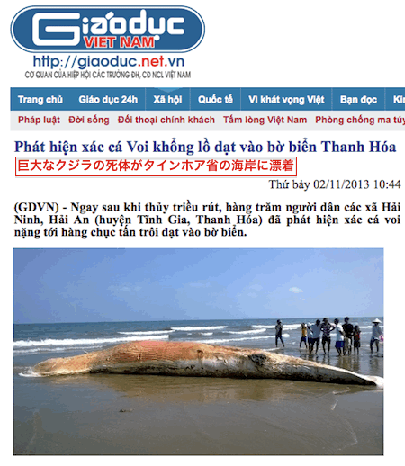 whale-vietnam.gif