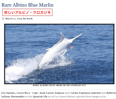 white-blue-marlin.gif