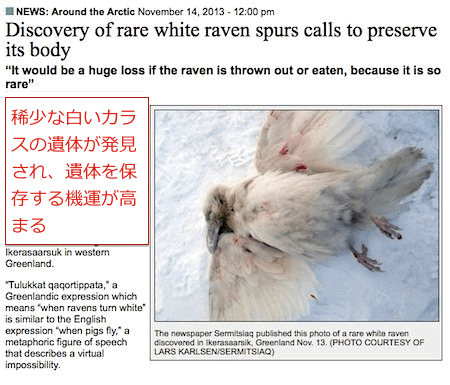 white-raven-01.gif